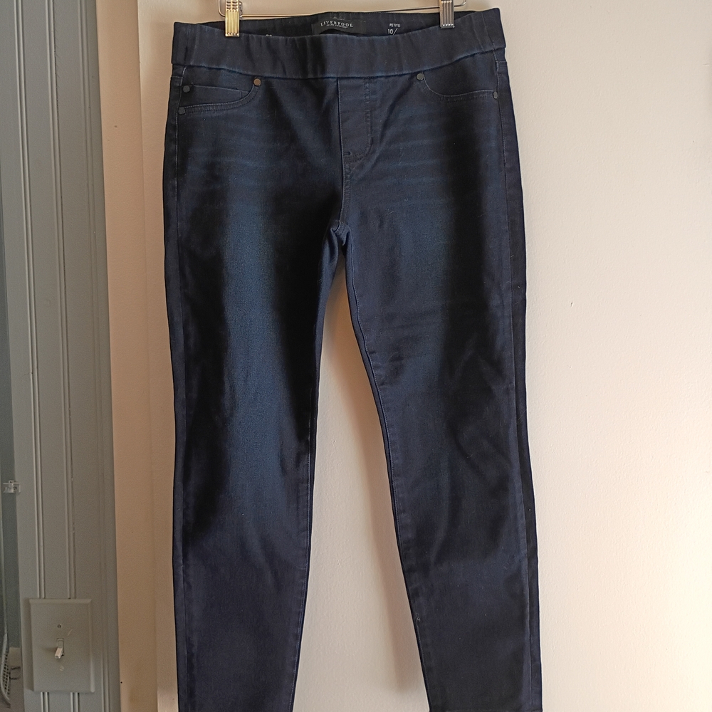 Liverpool Jeans Company Deep Indigo Jeggings